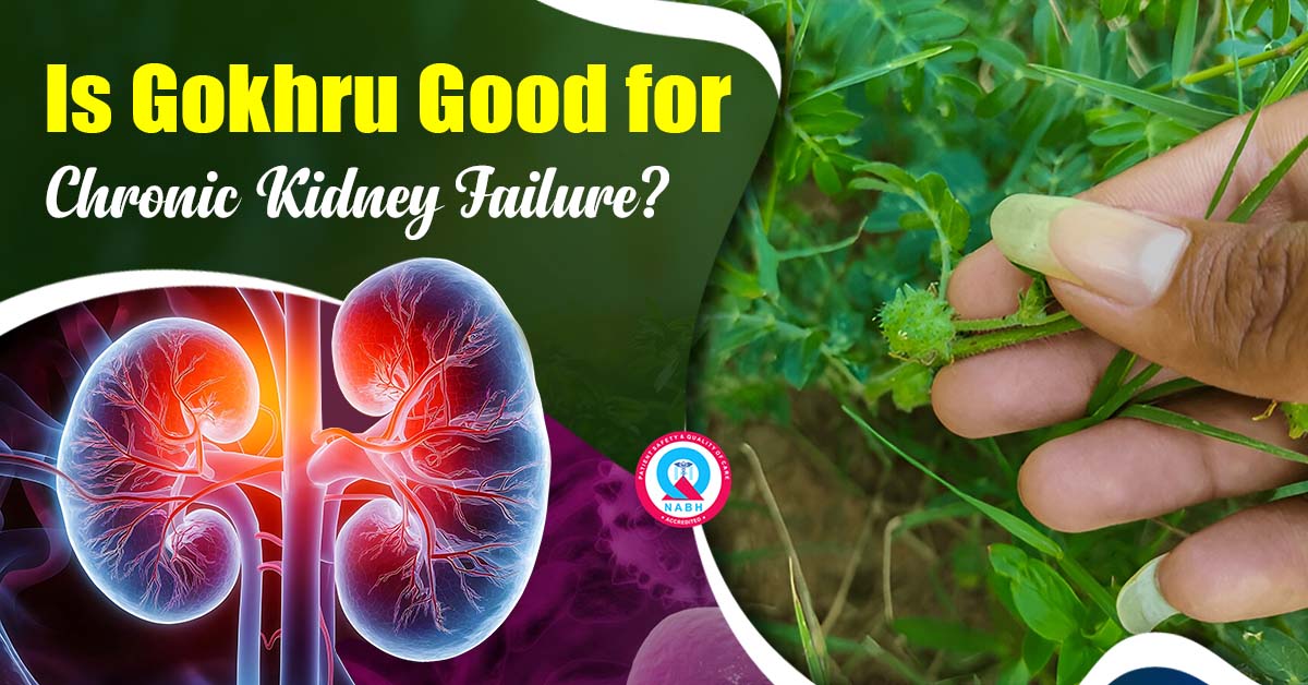 is-gokhru-good-for-chronic-kidney-failure